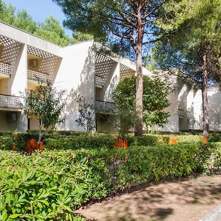 Julia 3* פסקיצ'י